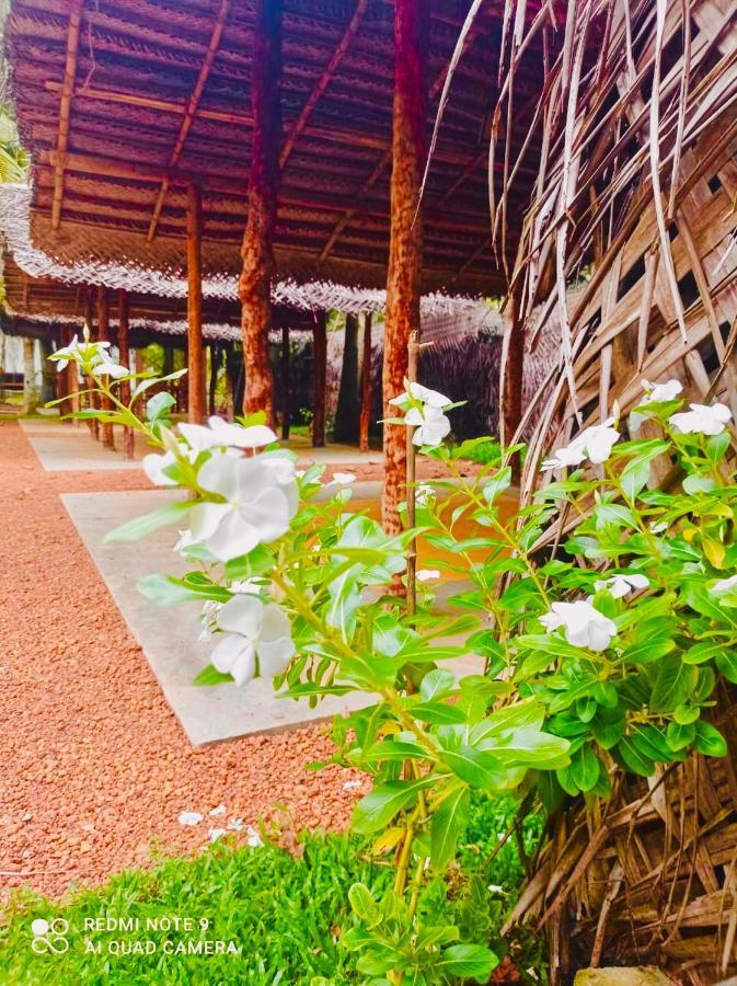 Manel Villa Bentota Exterior foto